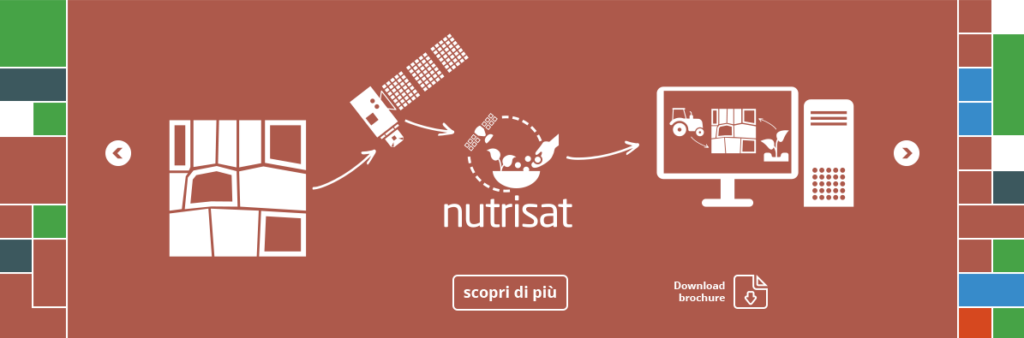 decorazione Nutrisat