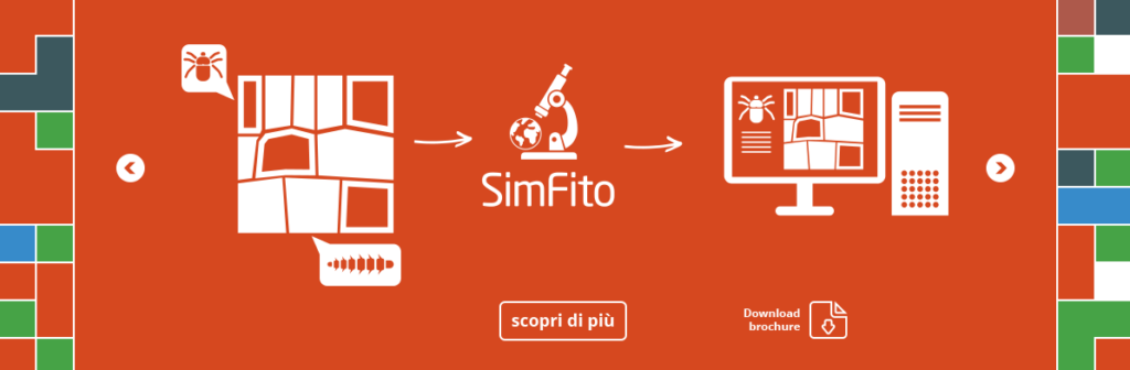 decorazione SimFito