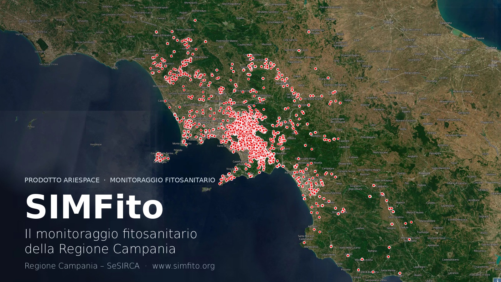 SIMFito