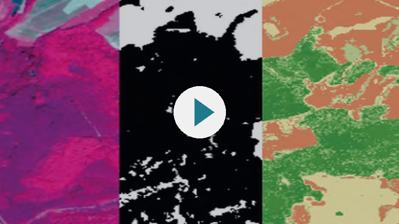 Video progetto DIANA
