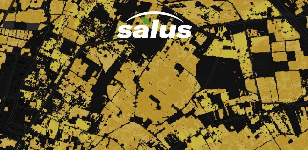 Scopri di più sull'articolo S.A.L.U.S.: i Risultati del Progetto per la Lotta alle Malattie delle Piante con Tecnologie Spaziali